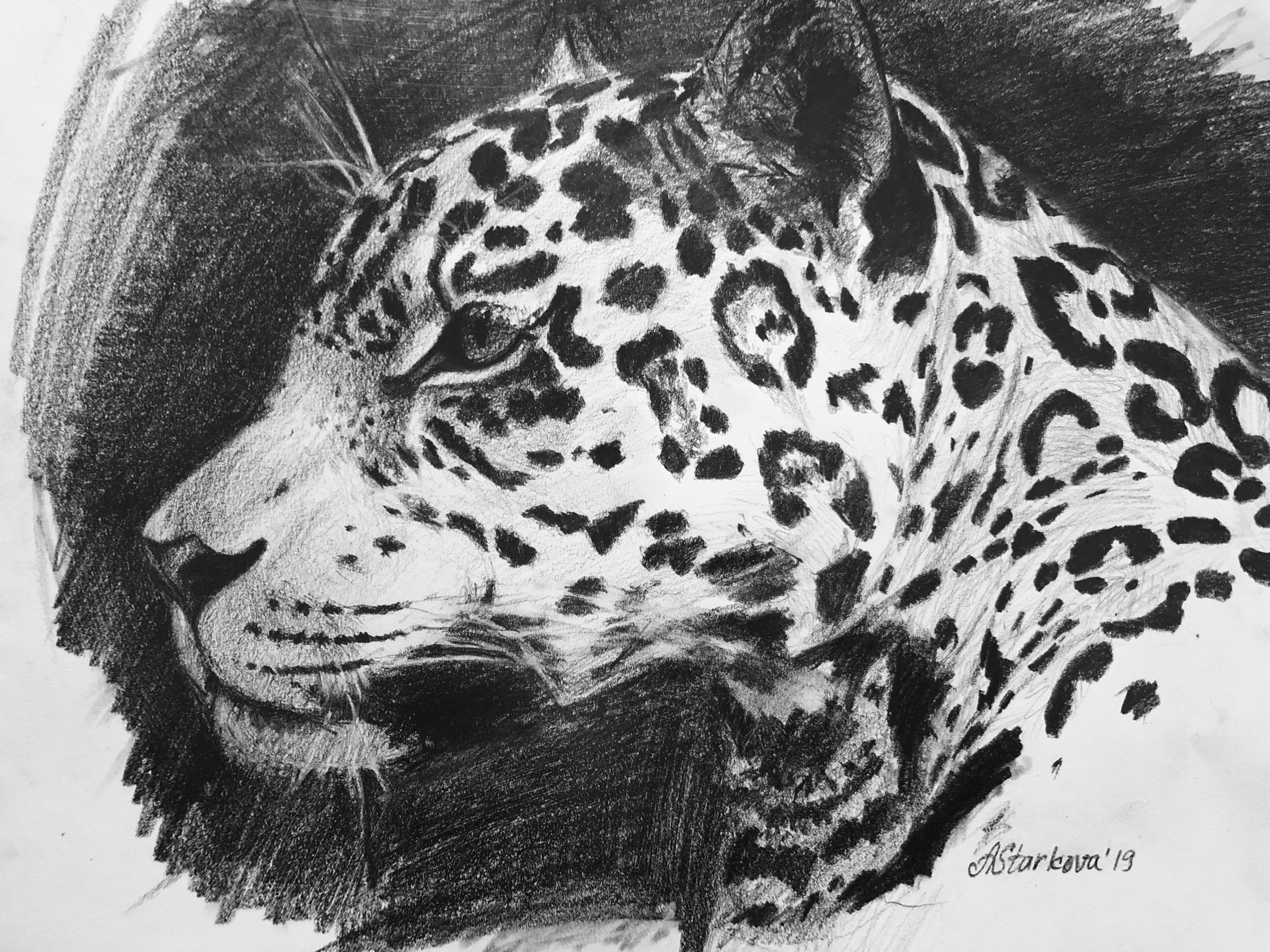 "Jaguar"