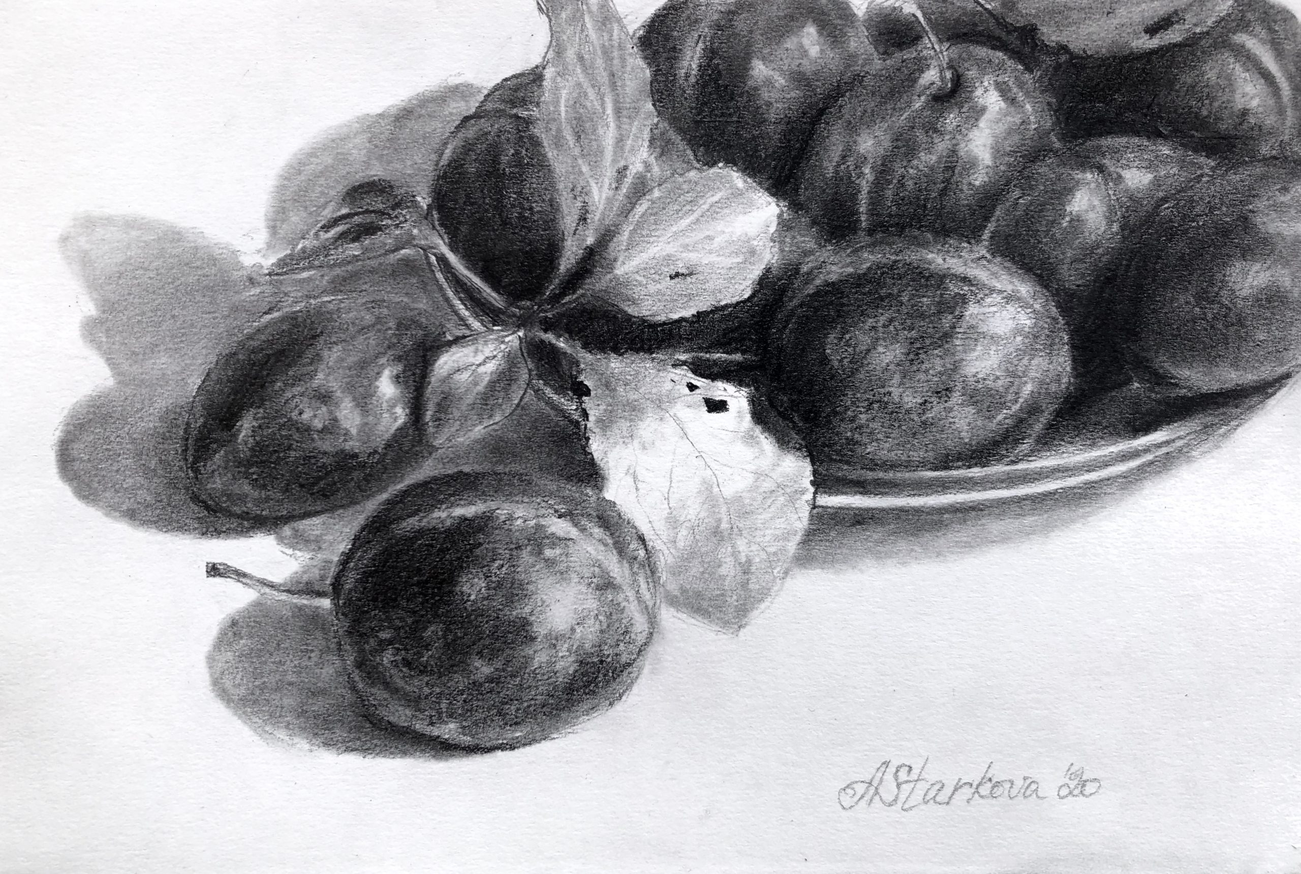 "Plums study"