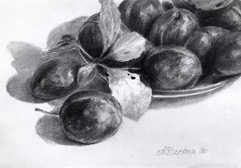 "Plums study"