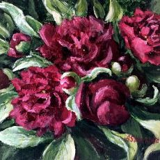 "Peony mood: burgundy"