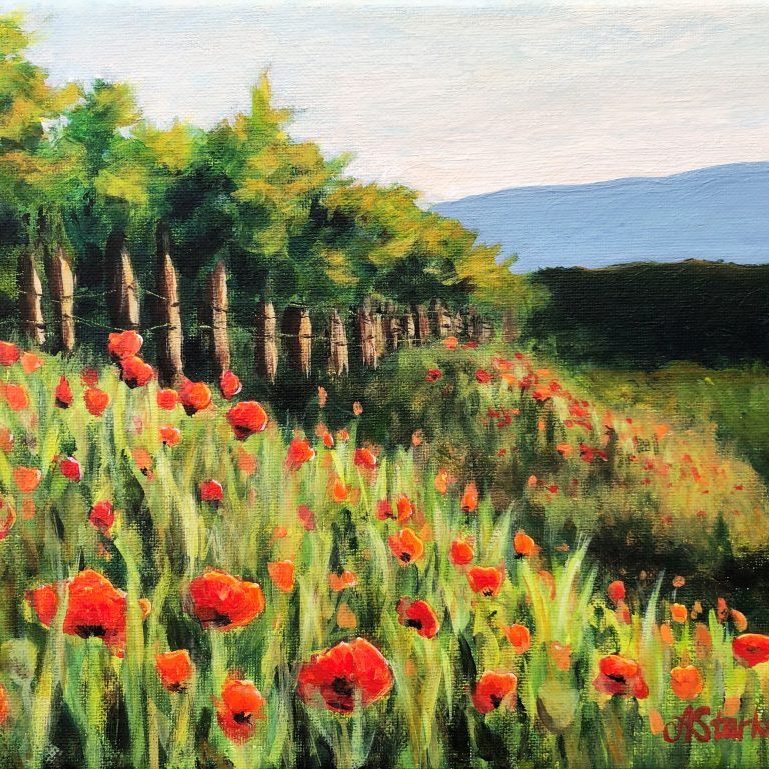 "Morning poppies"